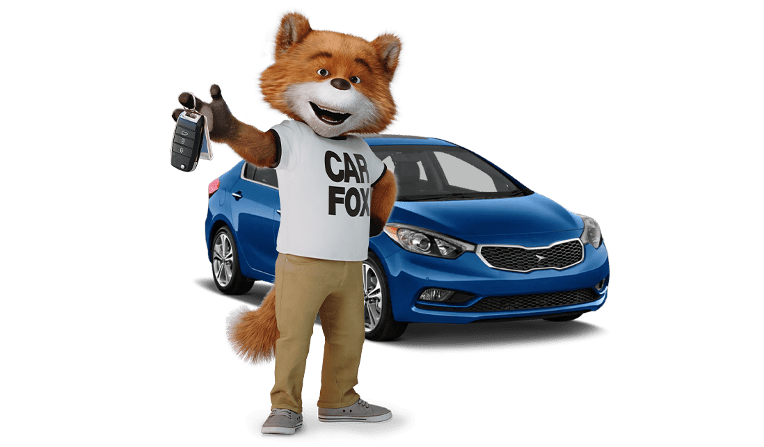 Carfax Report