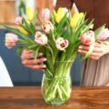 Fresh Flowers
