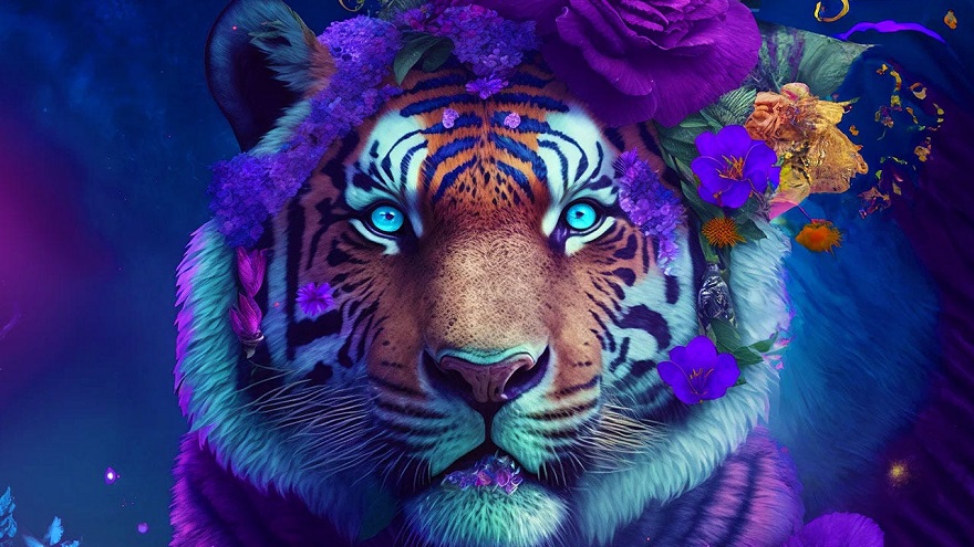 Amazing.photo