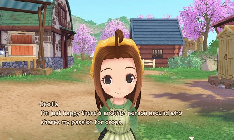 STORY OF SEASONS: A Wonderful Life