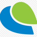 PayMaya