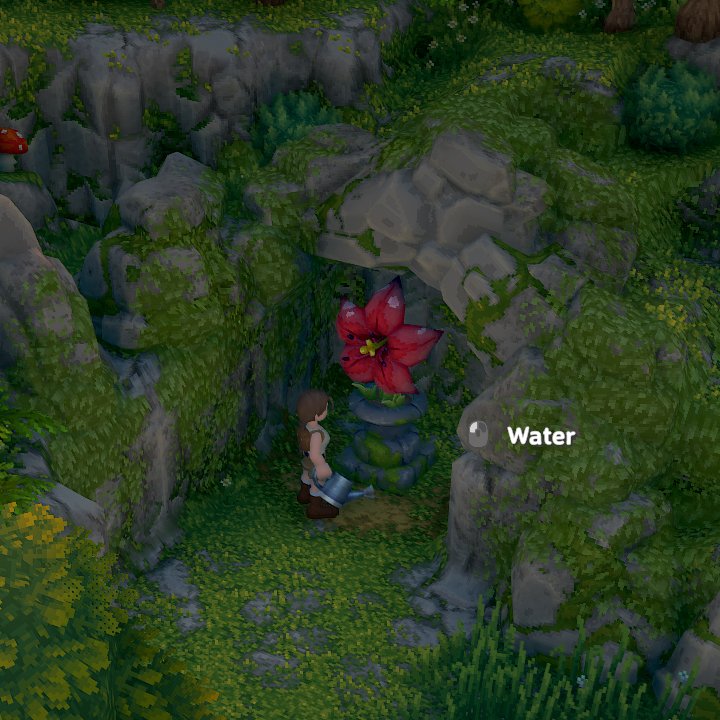 Lone Flower